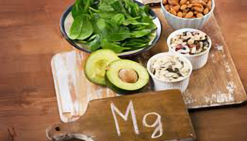 THE GIFT OF MAGNESIUM